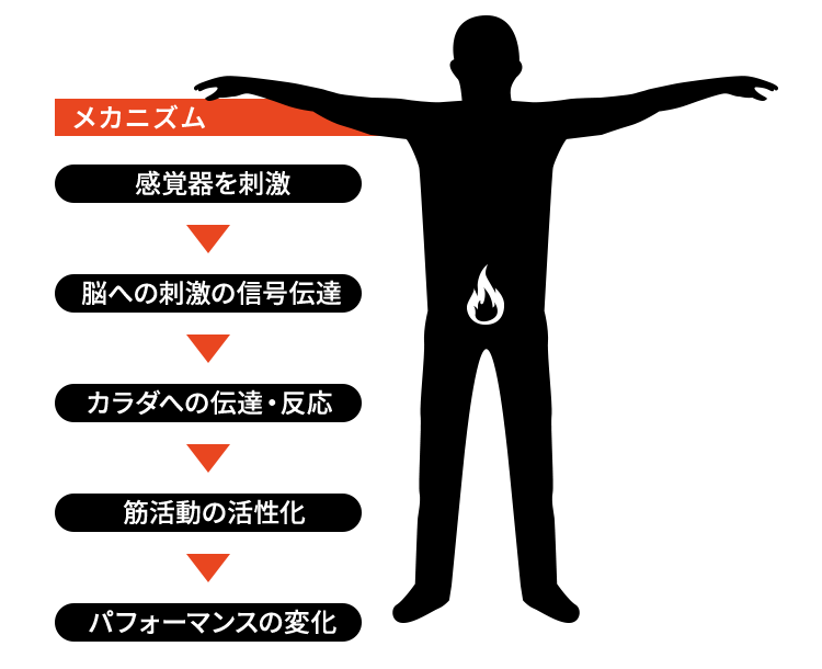 メカニズム