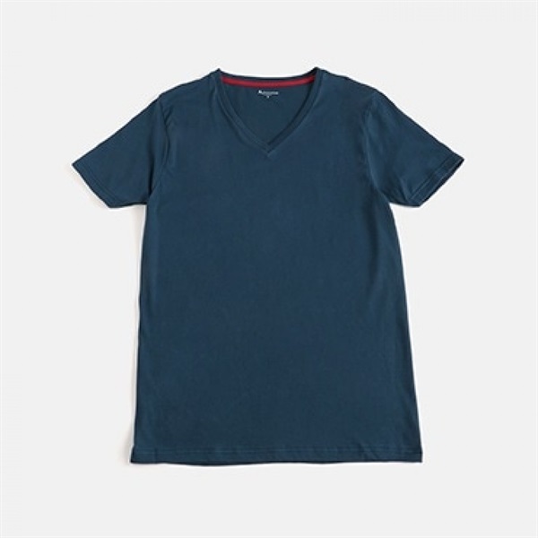 Aquascutum トップス エジプト綿 天竺VネックTシャツ メンズ | Atsugi