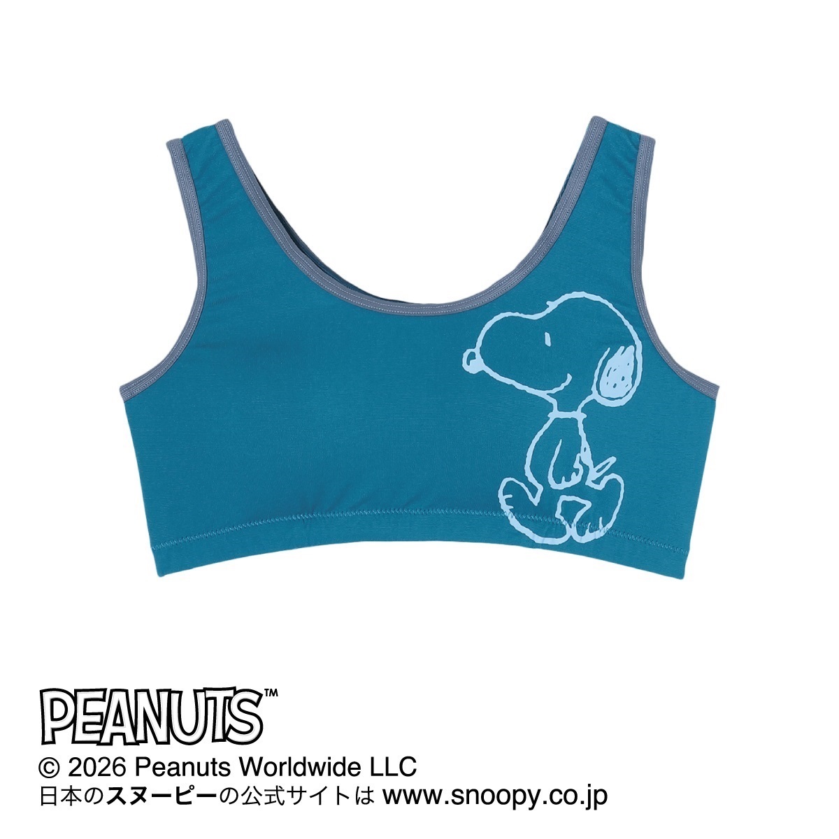 レトロ　スヌーピー　洋服ブラシ　携帯用　レア レトロ スヌーピー 洋服ブラシ 携帯用 レア PEANUTS/ピーナッツ
