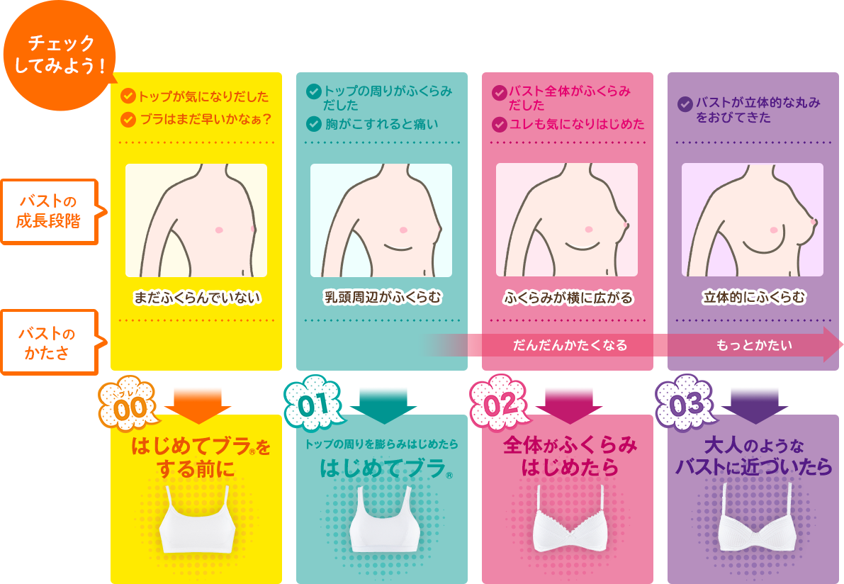 公式 女の子のブラの選び方 4つの成長ステップ Hijuni ハイジュニ Atsugi アツギ 公式通販