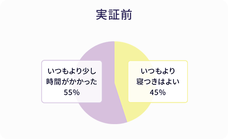 Q1実証前