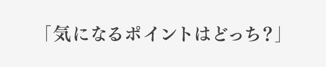 「気になるポイントはどっち？」