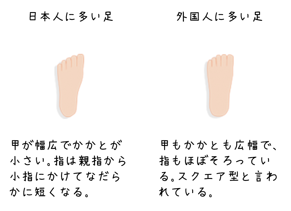 日本人に多い足 甲が幅広でかかとが小さい。指は親指から小指にかけてなだらかに短くなる。 外国人に多い足 甲もかかとも広幅で、指もほぼそろっている。スクエア型と言われている。